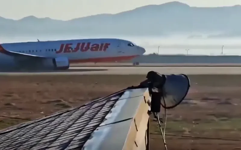 “Like a Bird Struck from the Sky: The Tragedy of Flight 2867”