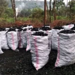 Burundi_charcoal_bags