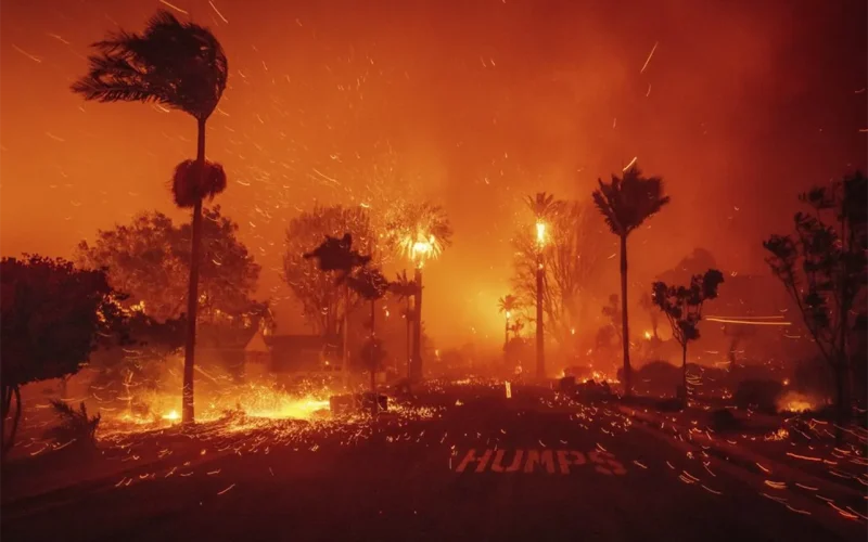 LA wildfires: Climate change made the disaster worse says WMO