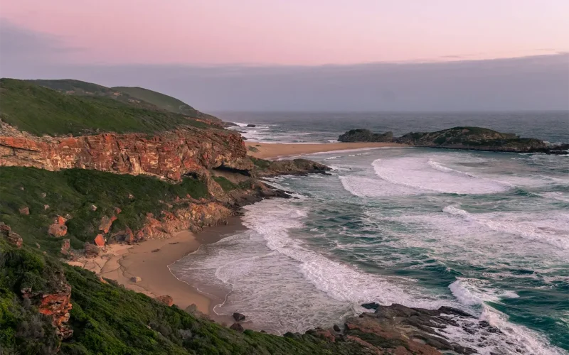 Fossil treasure chest: how to preserve the geoheritage of South Africa’s Cape coast
