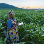 smallholder farmer_digital agriculture app