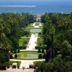 Can nature help solve human problems like climate change? Researchers weigh up pros and cons Botanical Garden Hamma