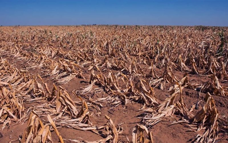 Drought can make farmers feel worried and hopeless: Ghana study finds social networks help