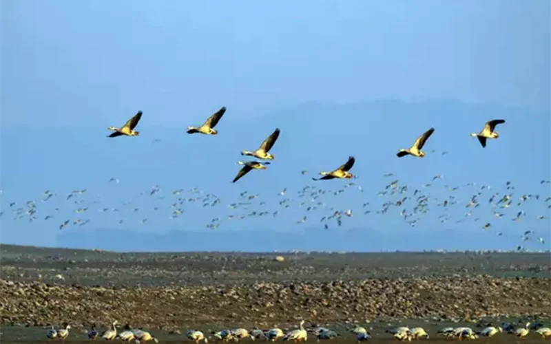 Burkina Faso’s nature reserves are worth protecting – but people have to be part of the plan