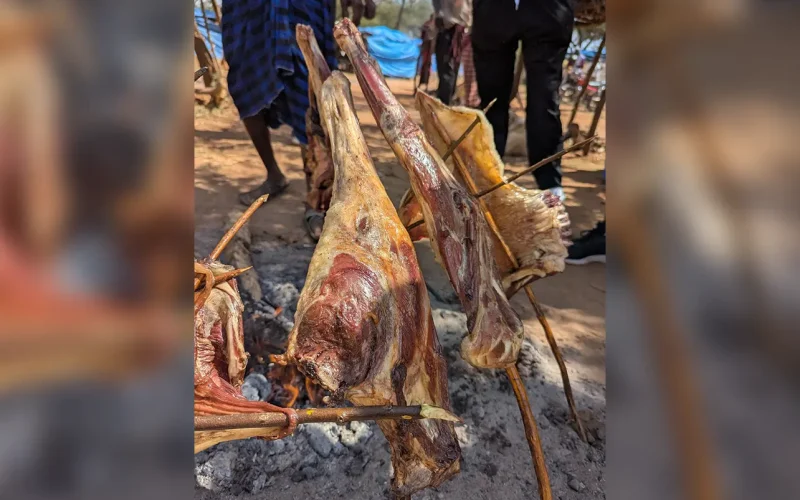 TikTok’s online wild meat sellers – study finds endangered species on offer in west Africa