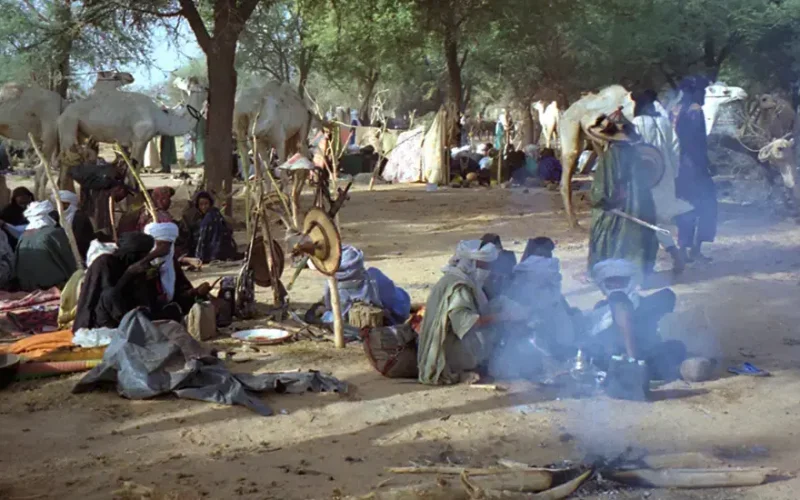 Fulani: new study unravels the genetic history of Africa’s largest pastoralist community