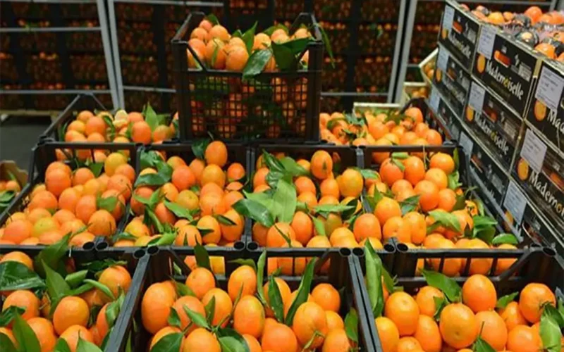 Trump’s tariff hikes and South Africa: hunt for new agricultural markets must begin now