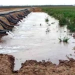 flood irrigation_siphons