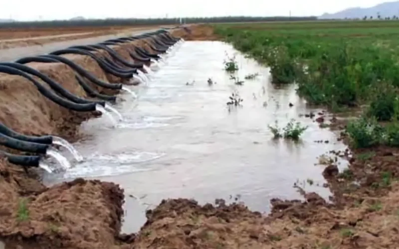 We studied smallholder farming in three African countries for 10 years: why profitable irrigation is key