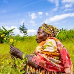 Rwanda’s healers and gardeners are preserving local plant knowledge Rwanda_healers_and_gardeners_4