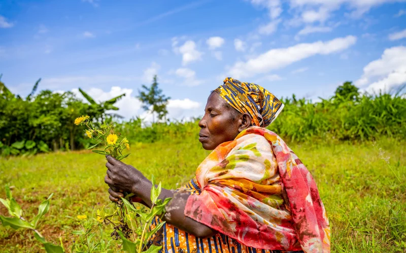 Rwanda’s healers and gardeners are preserving local plant knowledge