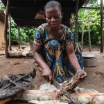 Eating wild meat carries serious health risks – why it still happens along the Kenya-Tanzania border Wild meat_preparing