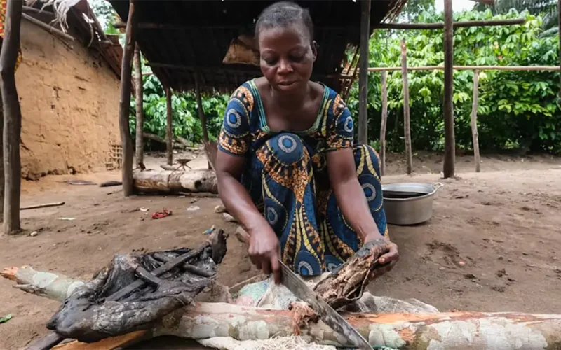 Eating wild meat carries serious health risks – why it still happens along the Kenya-Tanzania border