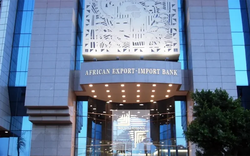 Africa’s development banks are being undermined: the continent will pay the price