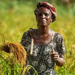senegal_rice farmer