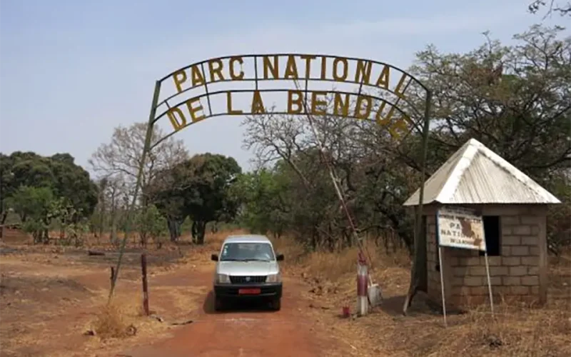 To save northern Cameroon’s wildlife, you need to secure the people first