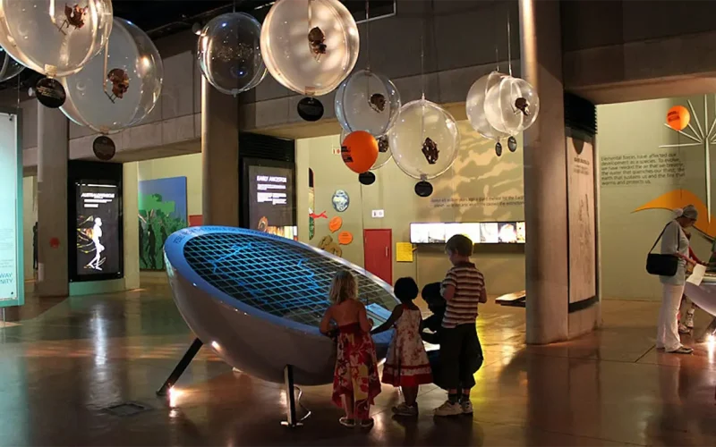 Fun with fossils: South African kids learn a whole lot more about human evolution from museum workshops