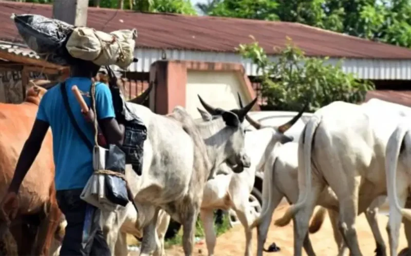 Africans survived 10,000 years of climate changes by adapting food systems – study offers lessons for modern times