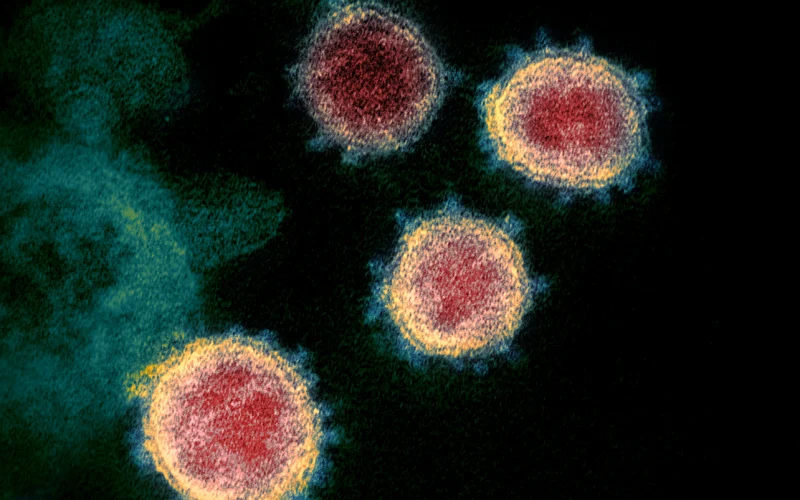 Long-COVID, viruses and ‘zombie’ cells: new research looks for links to chronic fatigue and brain fog