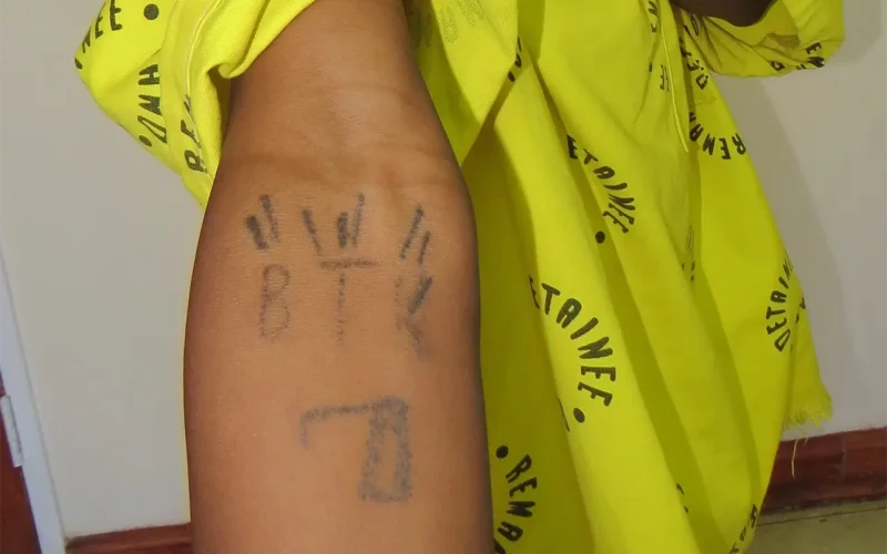Devil worship, muti and murder: what’s behind the growth of occult gangs in South Africa?