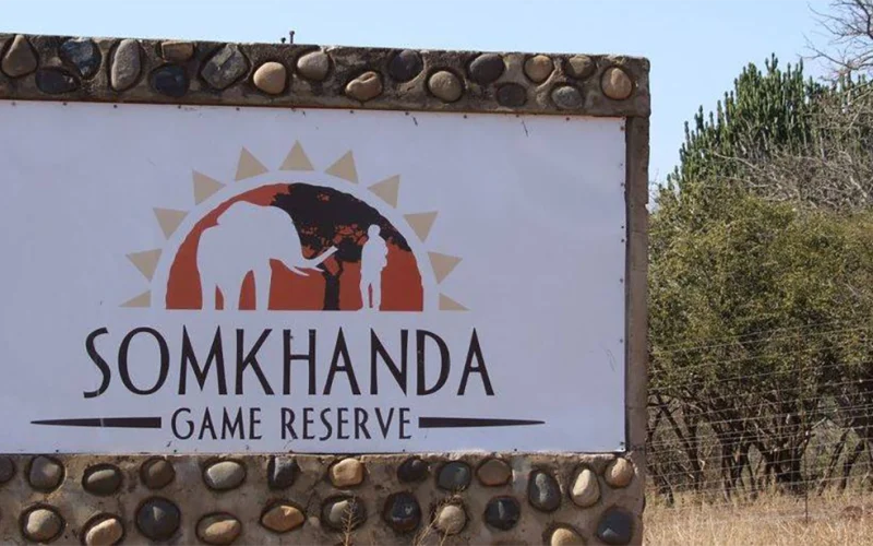 Land reform in South Africa: how one community set up a successful game reserve
