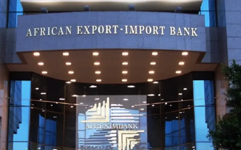 The politics of Africa’s Energy Bank: The Trojan horse on a risky path back to debt and dependency
