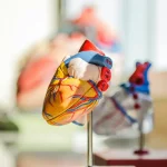 Cardiovascular disease