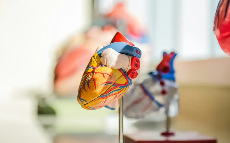 4 tips for a healthy heart from a biokineticist