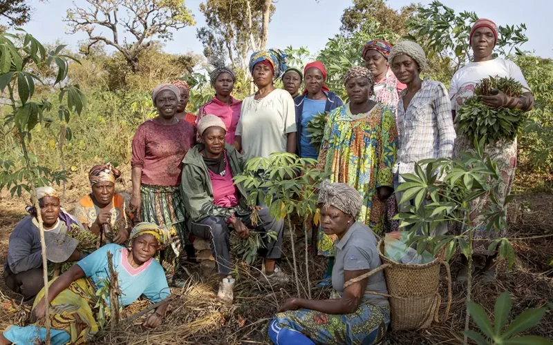 33 million women grow food on plots in sub-Saharan Africa. Greener farming can boost their earnings – study