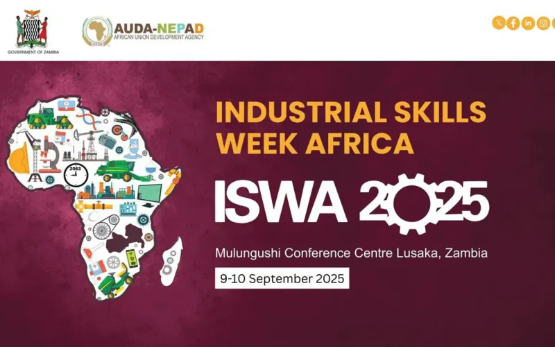 Africa’s youth renaissance: The time for bold action is now