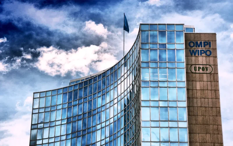 New report ranks Africa’s innovation hotspots