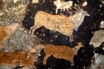 Museum in a box: on the road with South Africa’s heritage