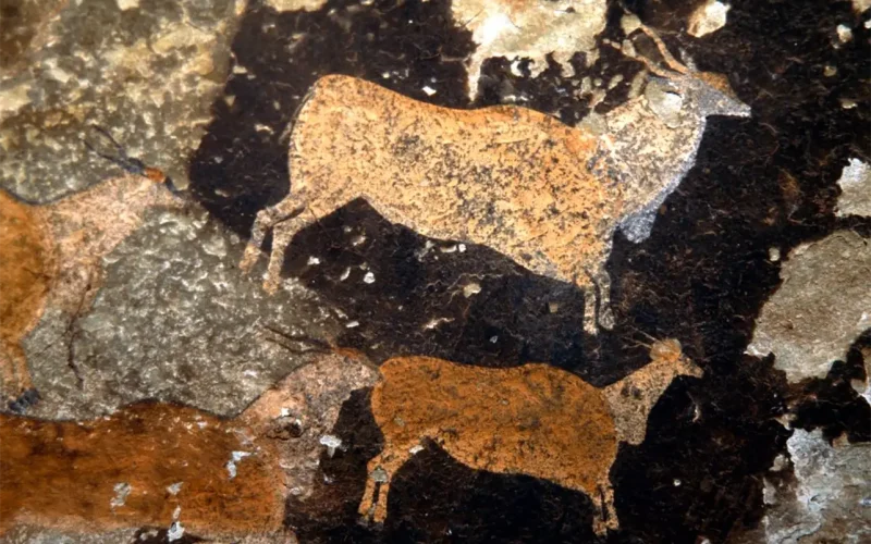 Museum in a box: on the road with South Africa’s heritage