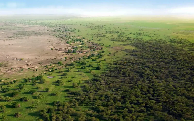 Africa’s ‘great green wall’ is stalling: in Senegal very few planted areas show progress