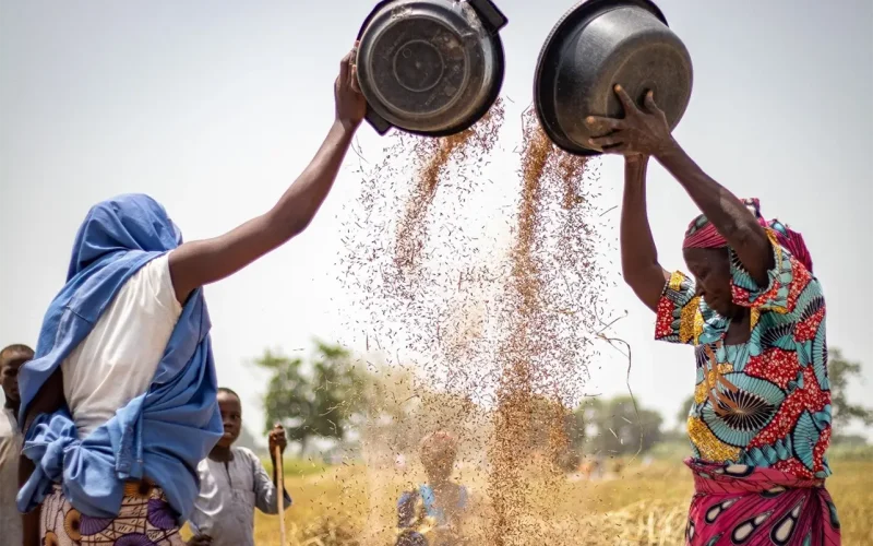 Indigenous knowledge systems can be useful tools in the G20’s climate change kit