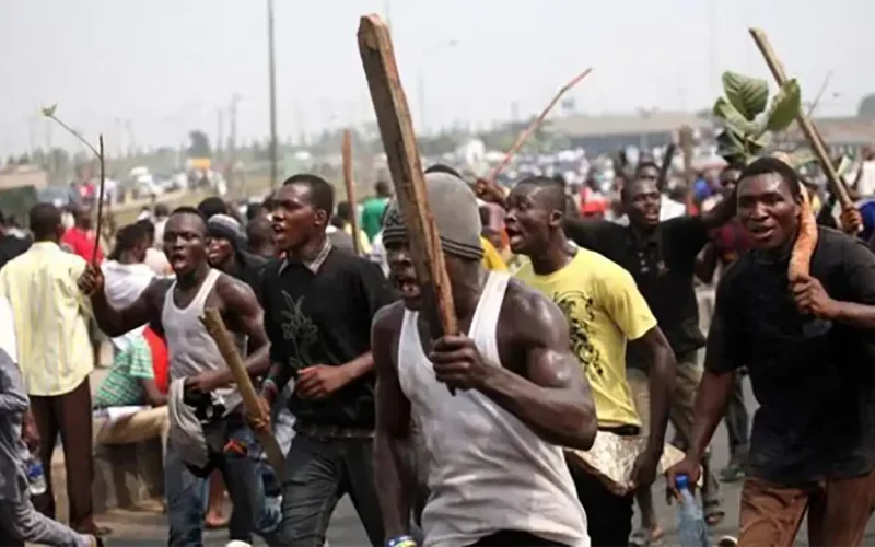 Thug culture in Nigerian politics: the links between state governors, funding and violent armed groups