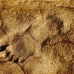 illustration_ancient footprint in sand