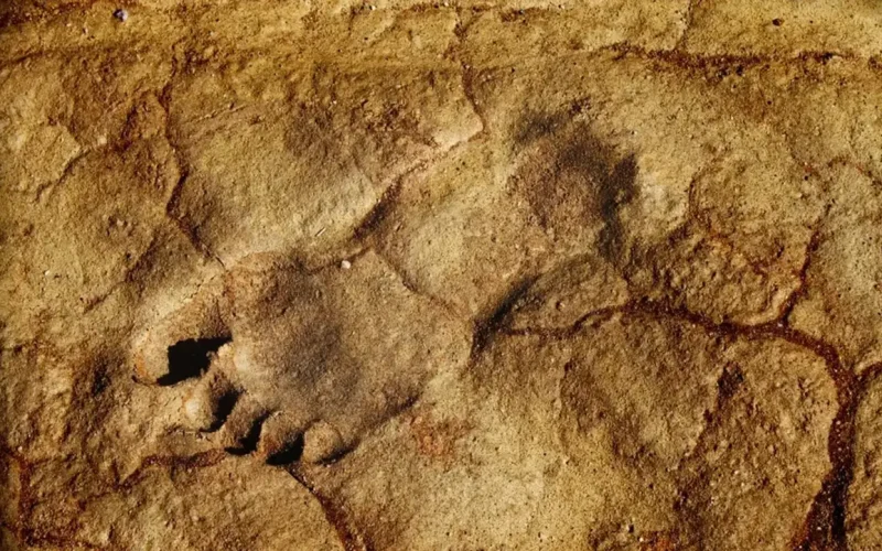 Where did the first people come from? The case for a coastal migration from southern Africa
