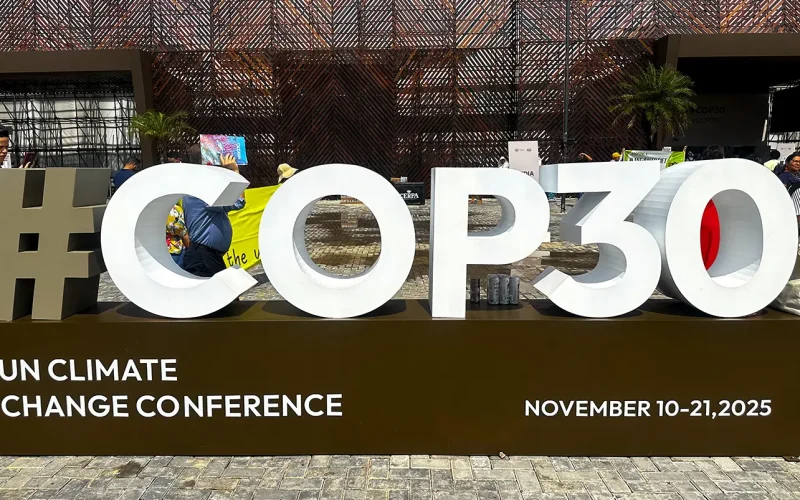 How African reps held their ground at COP30