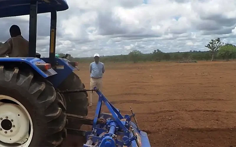 Seeds of revolution: how one visionary is transforming Ghana’s agricultural future