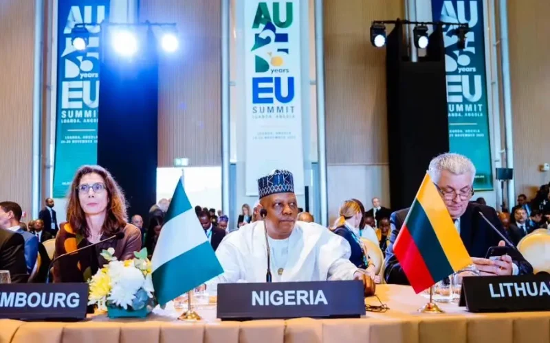 Africa demands seat at world’s most powerful table as Nigeria leads UN Security Council reform push