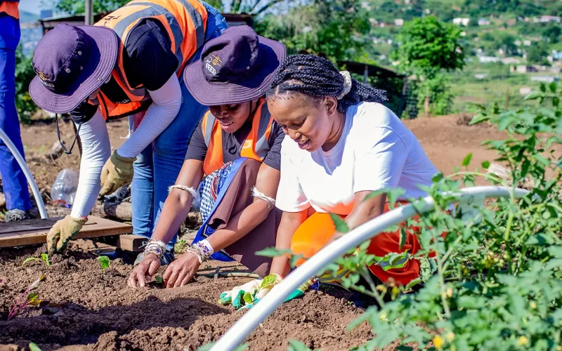Women are shaping Africa’s agribusinesses