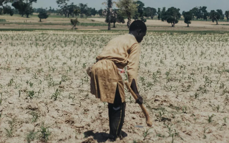Beyond the hype: Can AI really fix Africa’s humanitarian crises?