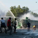 Cameroon protesters