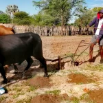Namibia_ploughing farmland