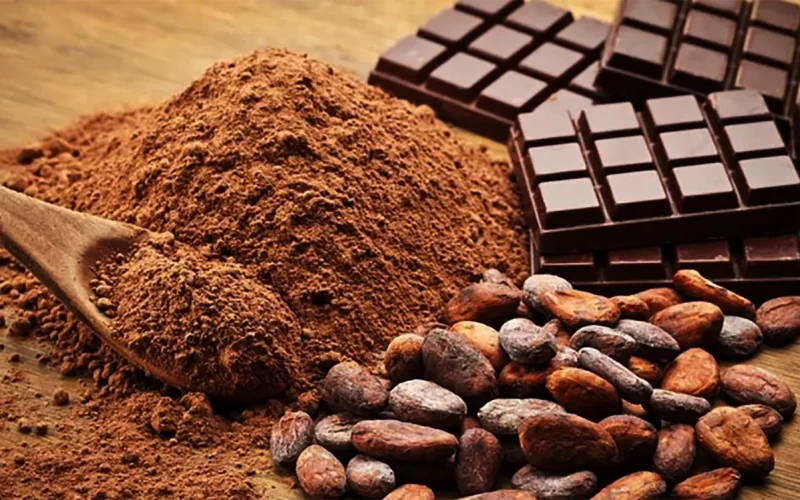 Cocoa prices plunge 45% as West African production rebounds