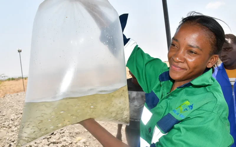 Why fish farming is booming in Zambia