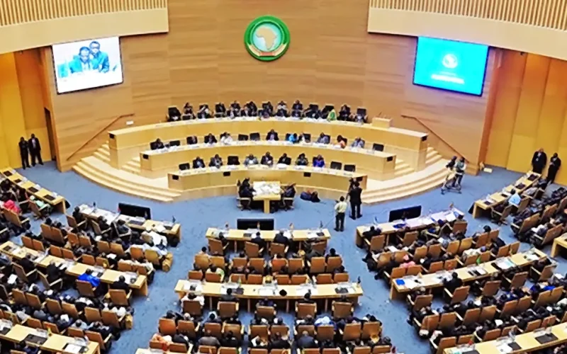Africa’s human rights institutions are electing leaders. Why this matters