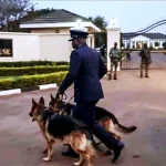 Malawi_presidential guard dogs