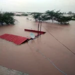 Mozambique_flooding_Chokwe_house